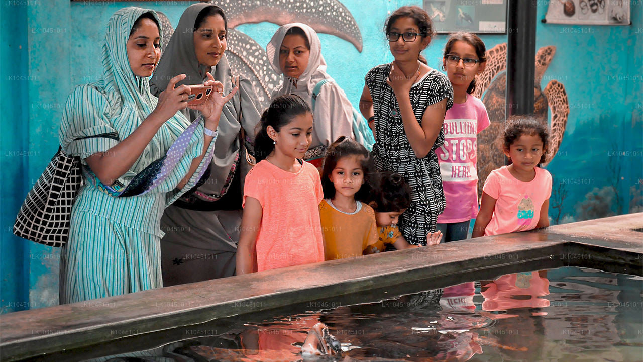 कोलंबो से लंका के चारों ओर (4 दिन)