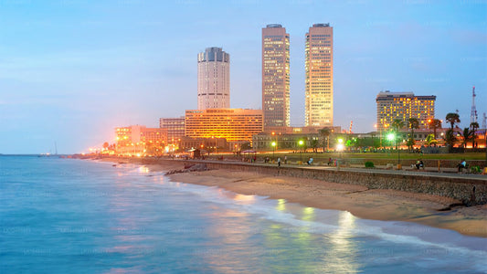 त्वरित शहर भ्रमण (4 दिन)