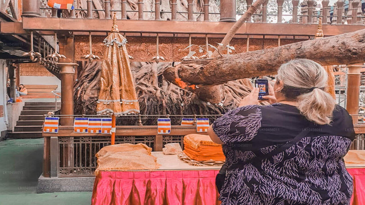 त्वरित शहर भ्रमण (4 दिन)