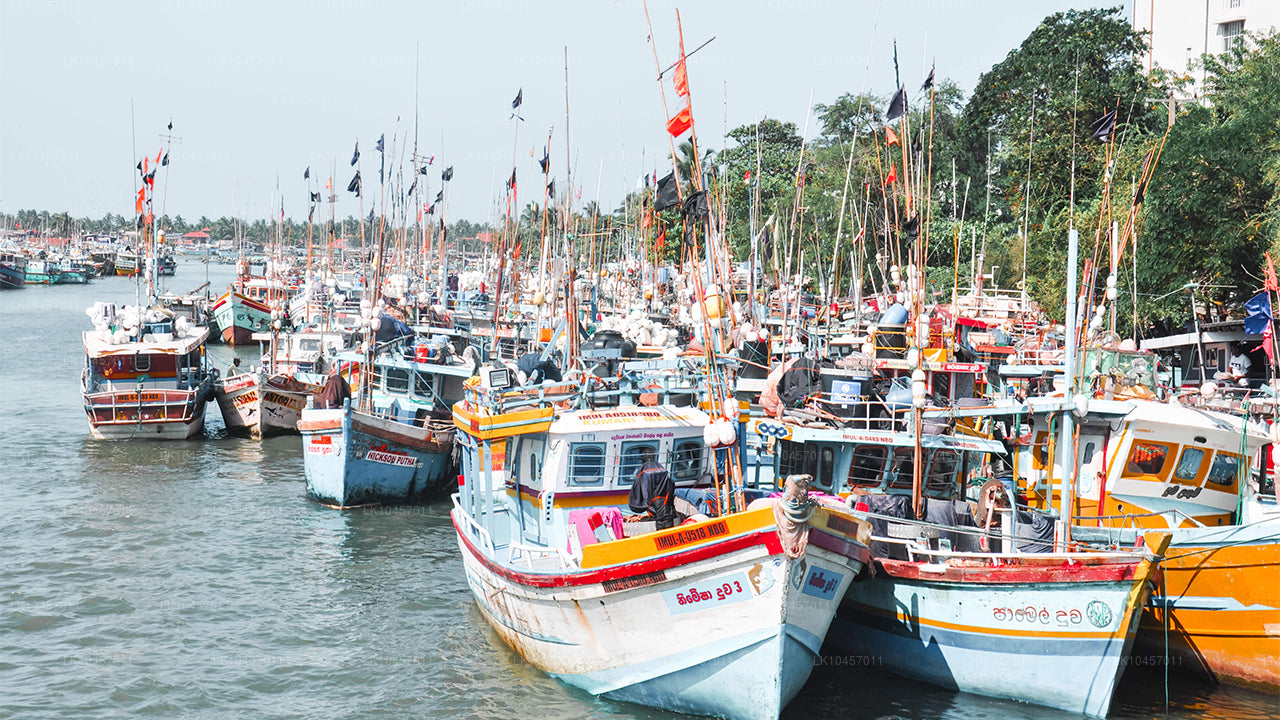 समुद्र तट और शहर (4 दिन)