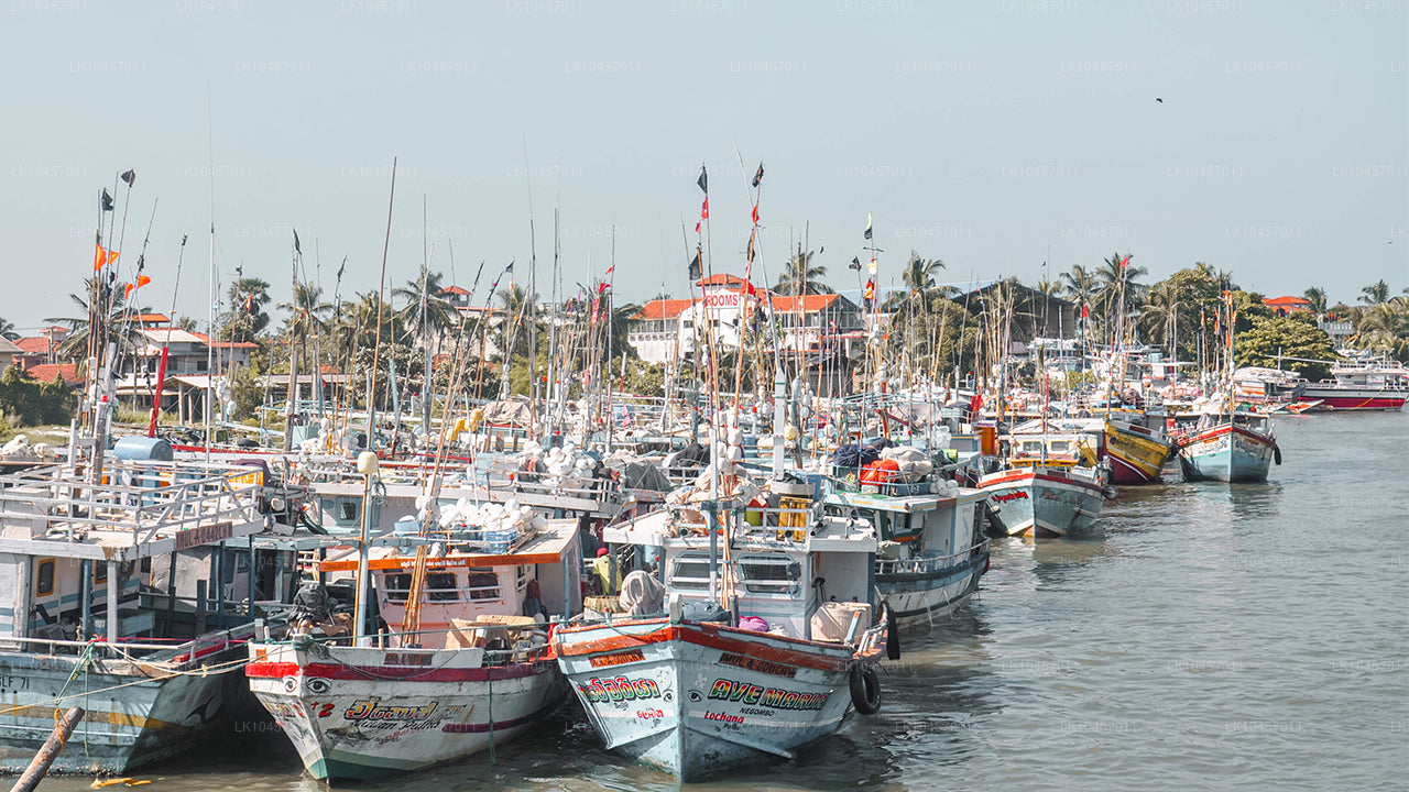 समुद्र तट और शहर (4 दिन)