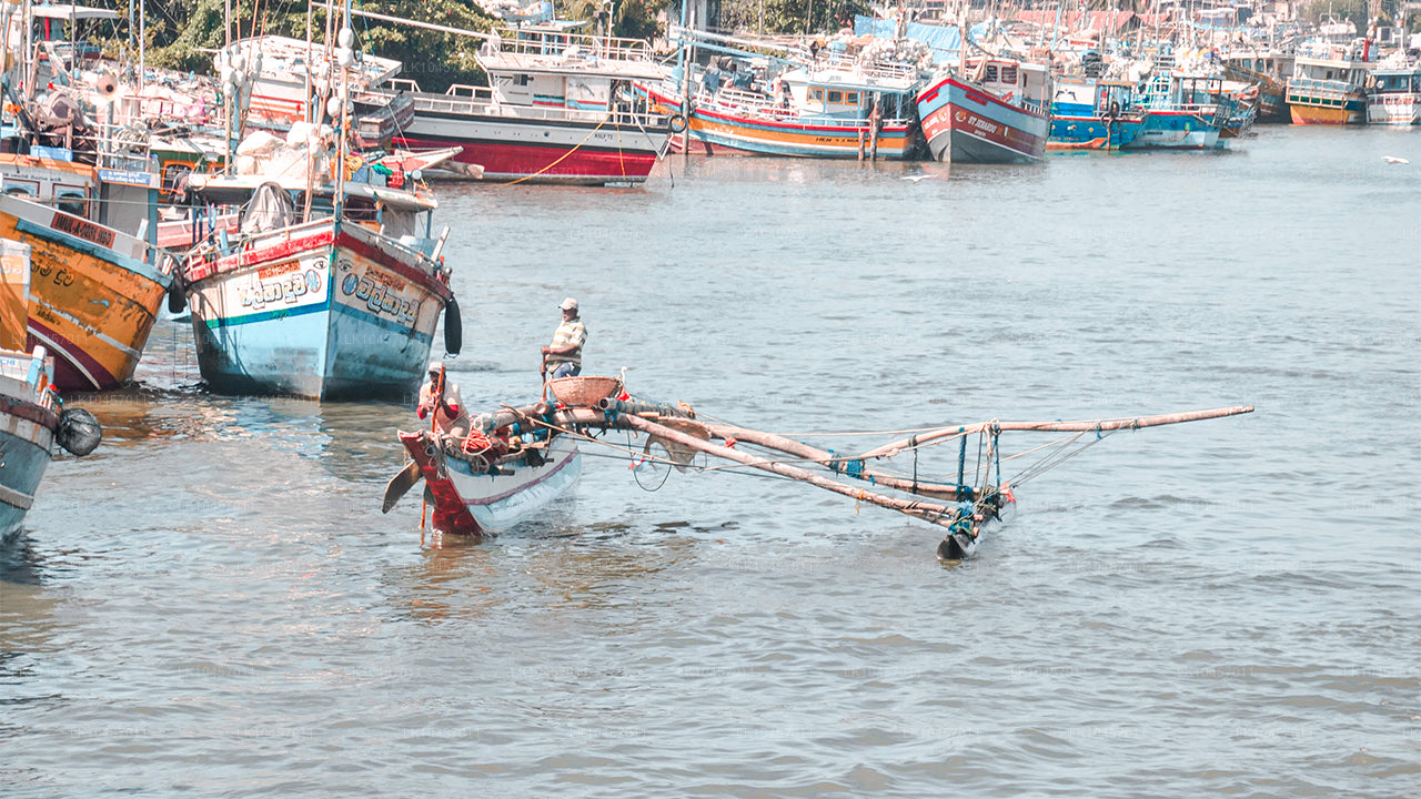 समुद्र तट और शहर (4 दिन)