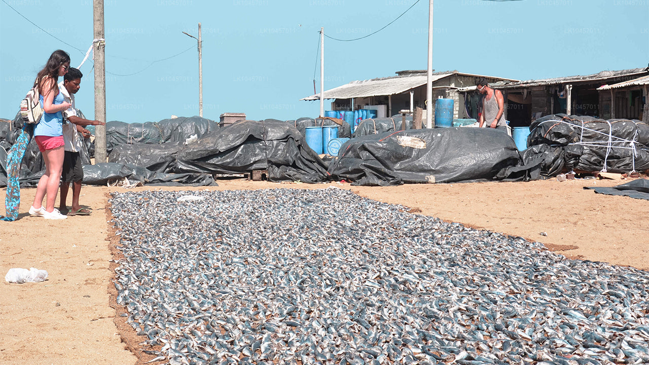 समुद्र तट और शहर (4 दिन)