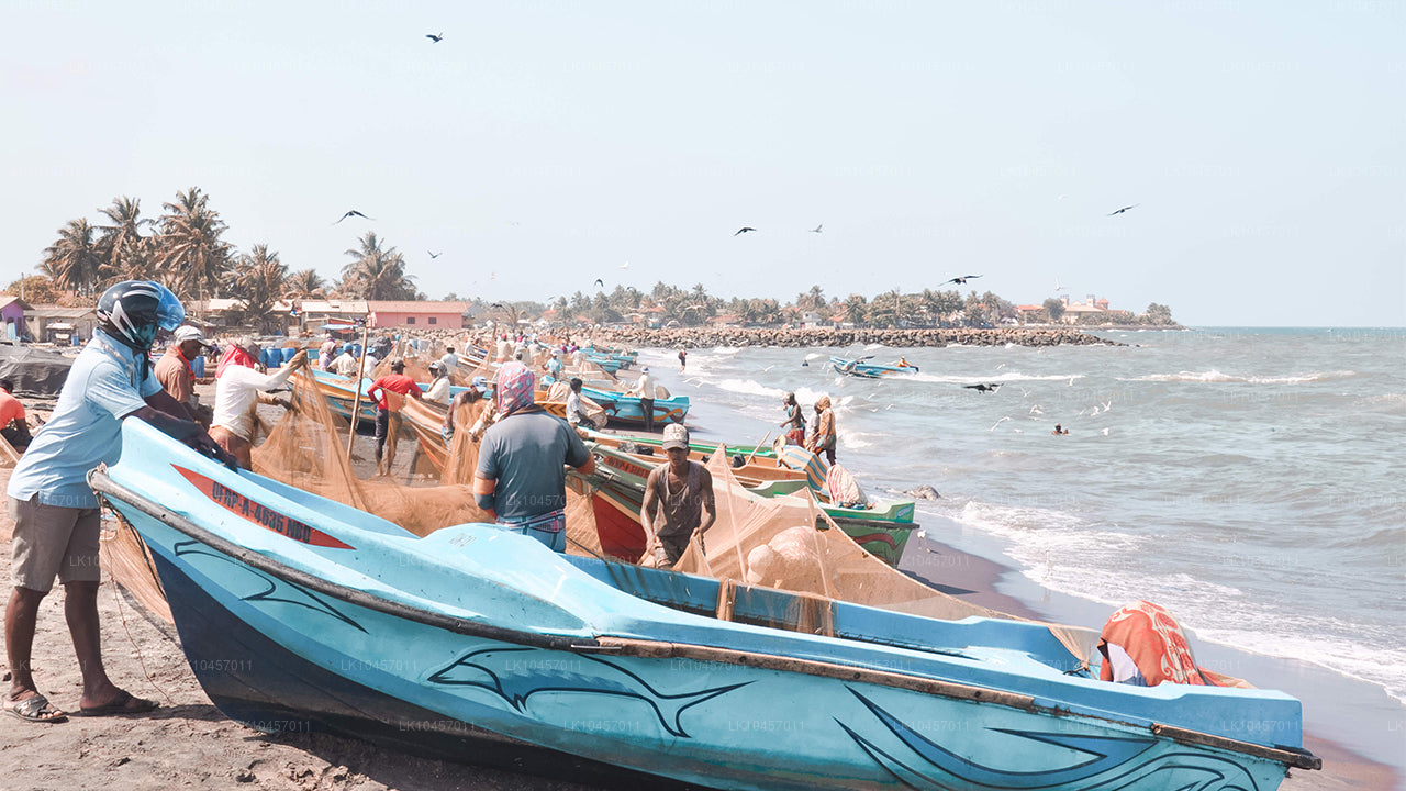 समुद्र तट और शहर (4 दिन)