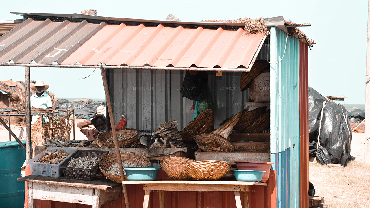 समुद्र तट और शहर (4 दिन)