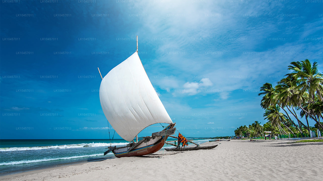 समुद्र तट और शहर (4 दिन)