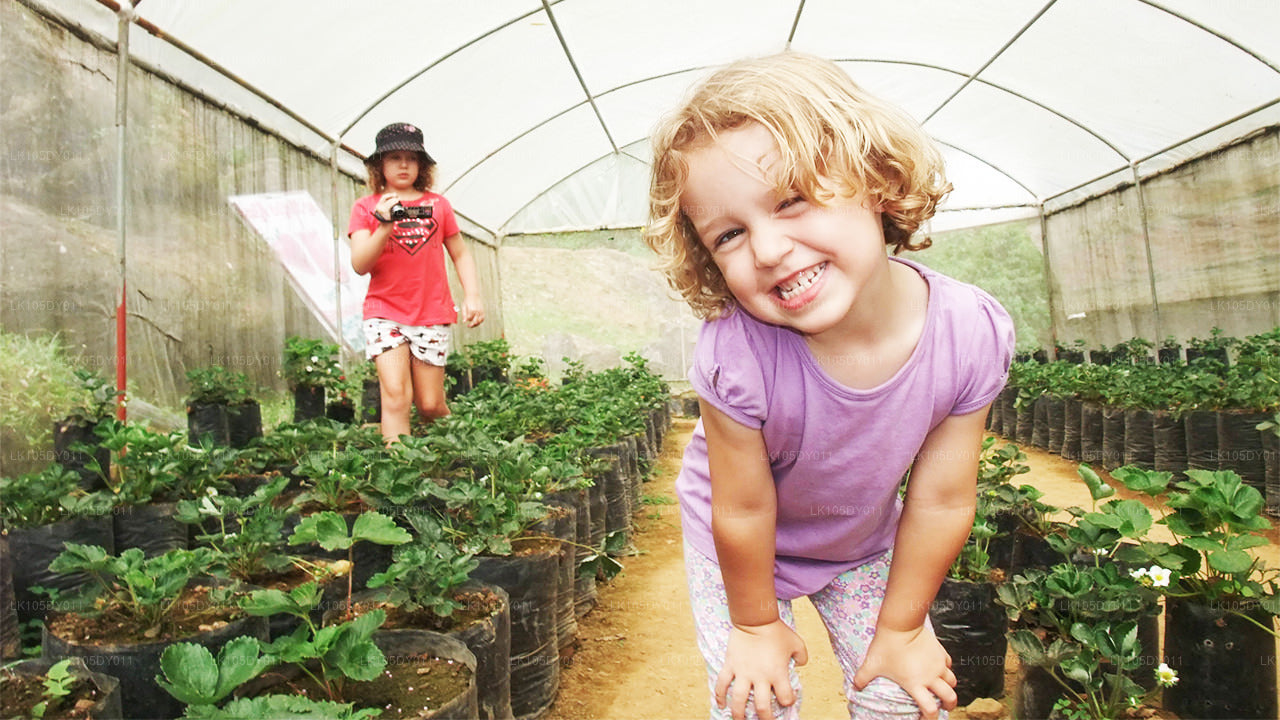 कृषि यात्रा (4 दिन)