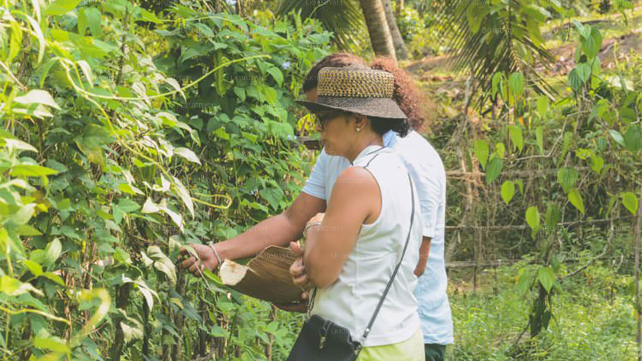 कृषि यात्रा (4 दिन)