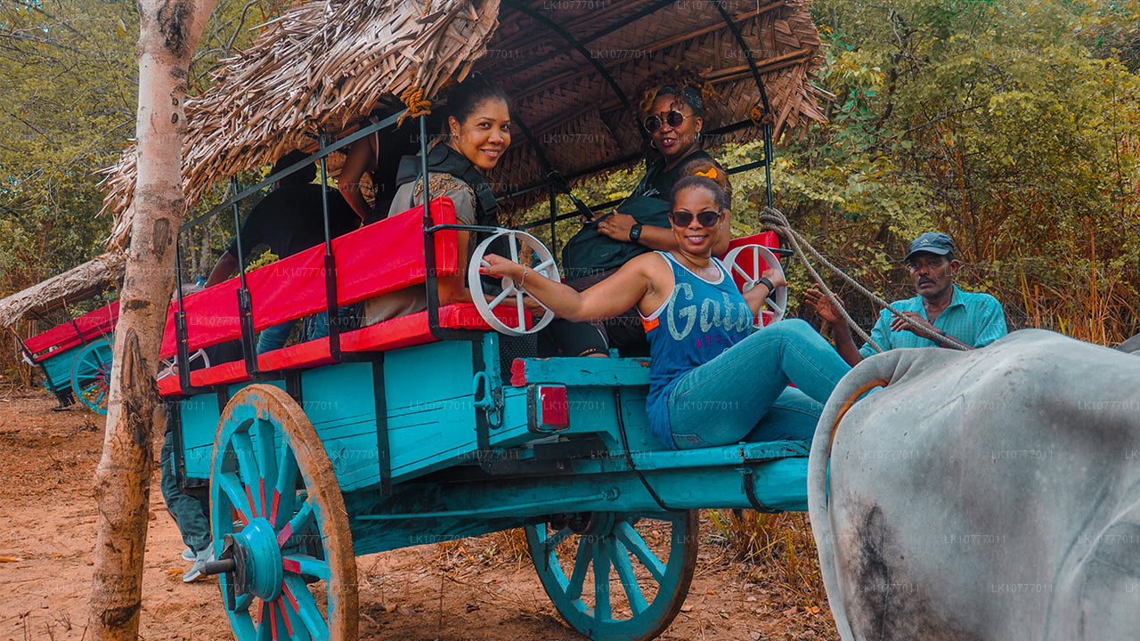 स्वर्ग में सप्ताह (7 दिन)