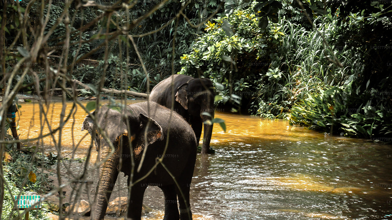 स्वर्ग में सप्ताह (7 दिन)