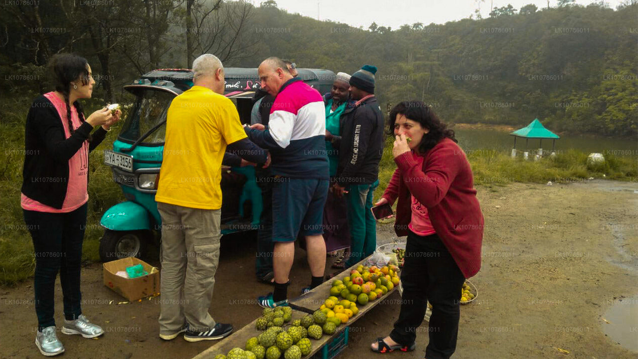 Culture and Culinary Expedition (7 Days)