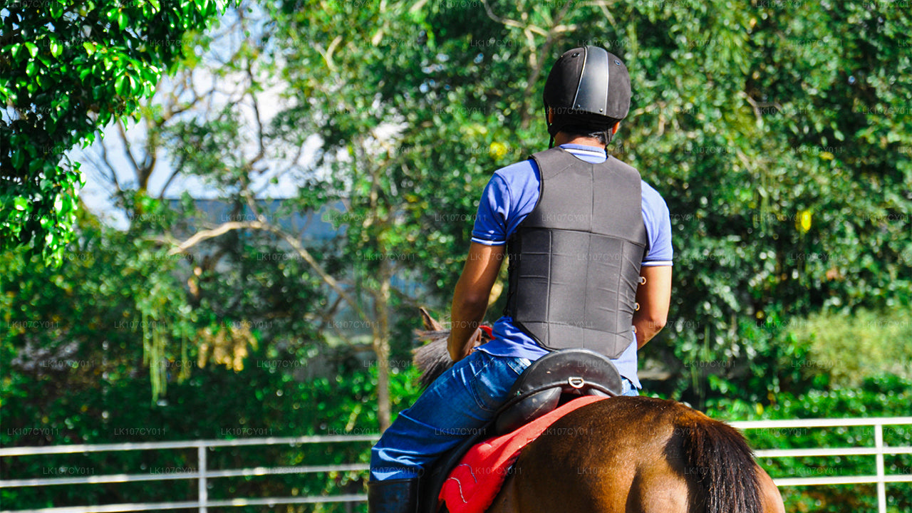 Horse riding tour (7 Days)