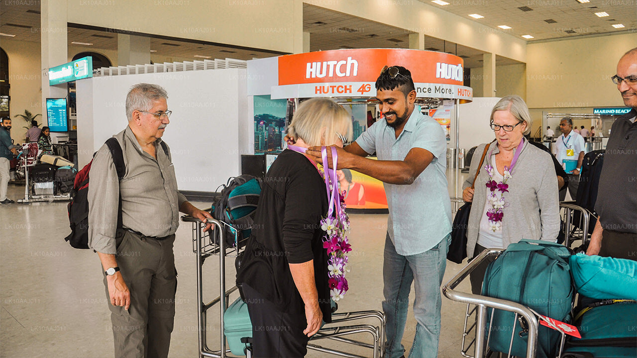 Ceylon Tea Tour (10 Days)