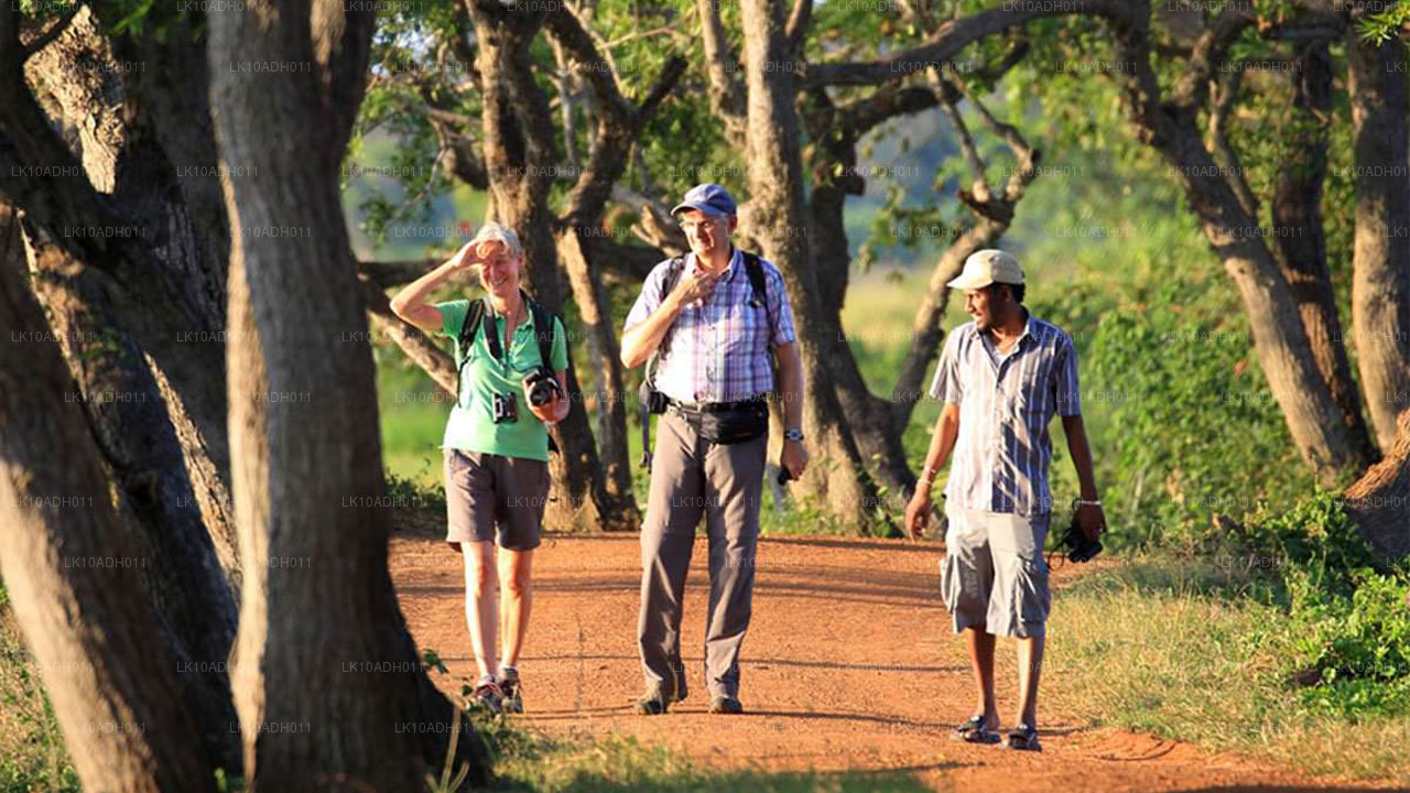 Birds and Wildlife Tour (11 Days)