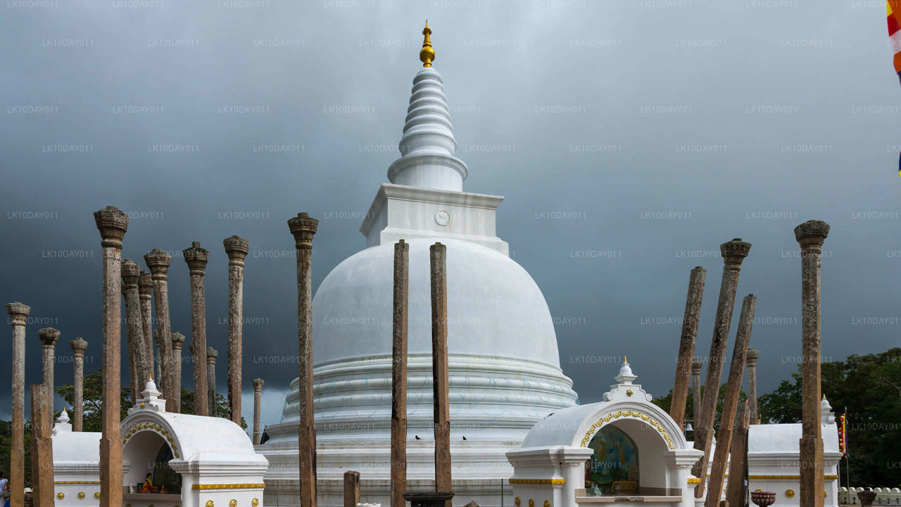 Buddhist Pilgrimage Tour (13 Days)