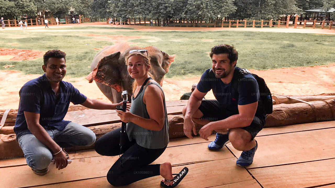 Spiritual Freedom (14 Days)