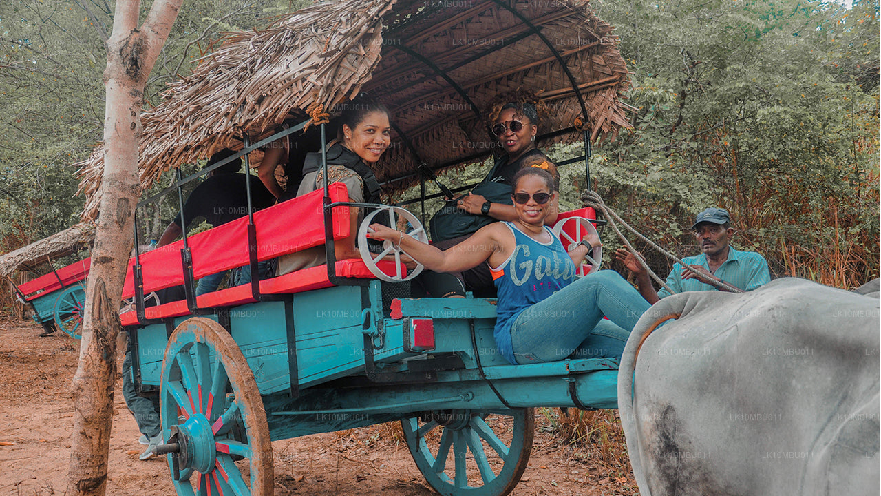 Glamour of Sri Lanka (22 Days)