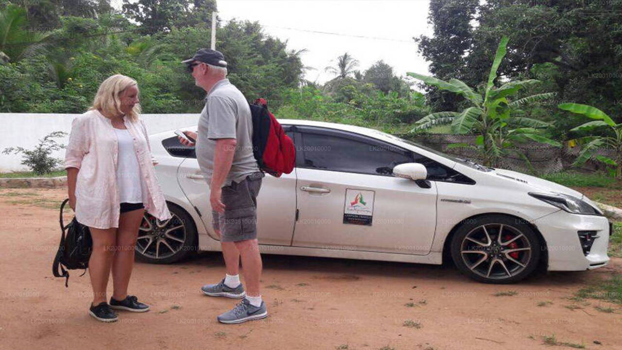 ड्राइवर द्वारा संचालित मानक कार रेंटल