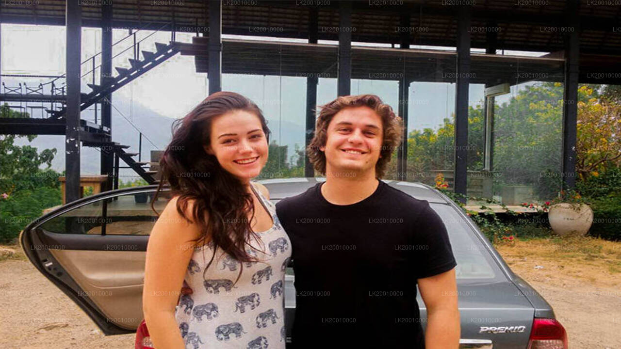 ड्राइवर द्वारा संचालित मानक कार रेंटल