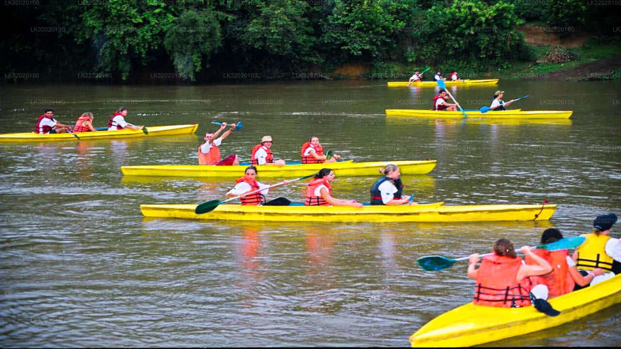 Canoeing in Mahaweli River from Kandy