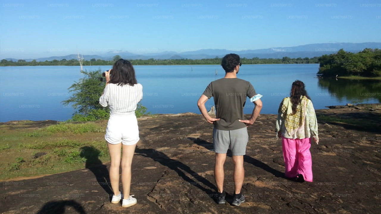 उदावालावे राष्ट्रीय उद्यान में प्रकृतिवादी के साथ निजी सफ़ारी