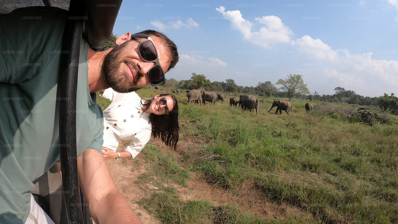 वासगामुवा राष्ट्रीय उद्यान निजी सफारी