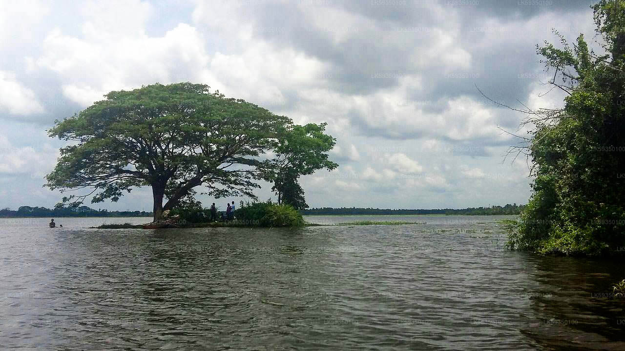 Lake Fishing from Tissamaharama