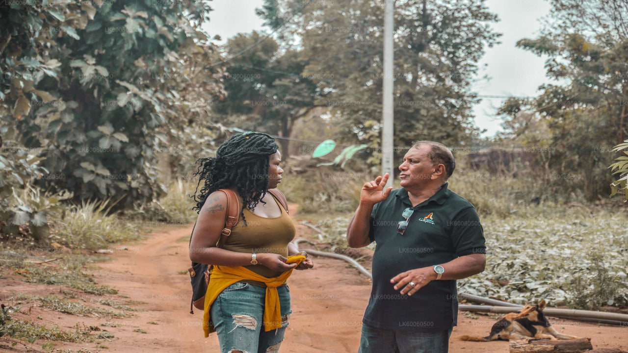 हबराना से हिरीवादुन्ना गांव का दौरा