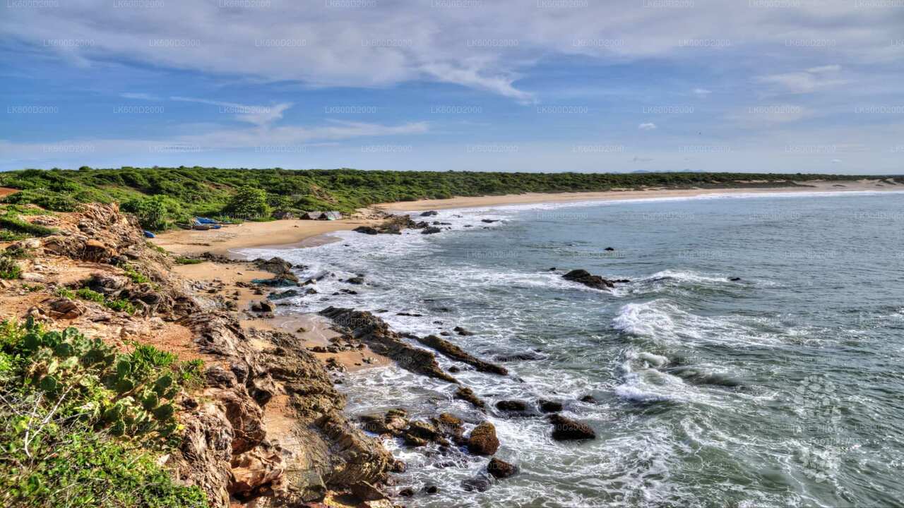 बेंटोटा से बुंडाला नेशनल पार्क सफारी