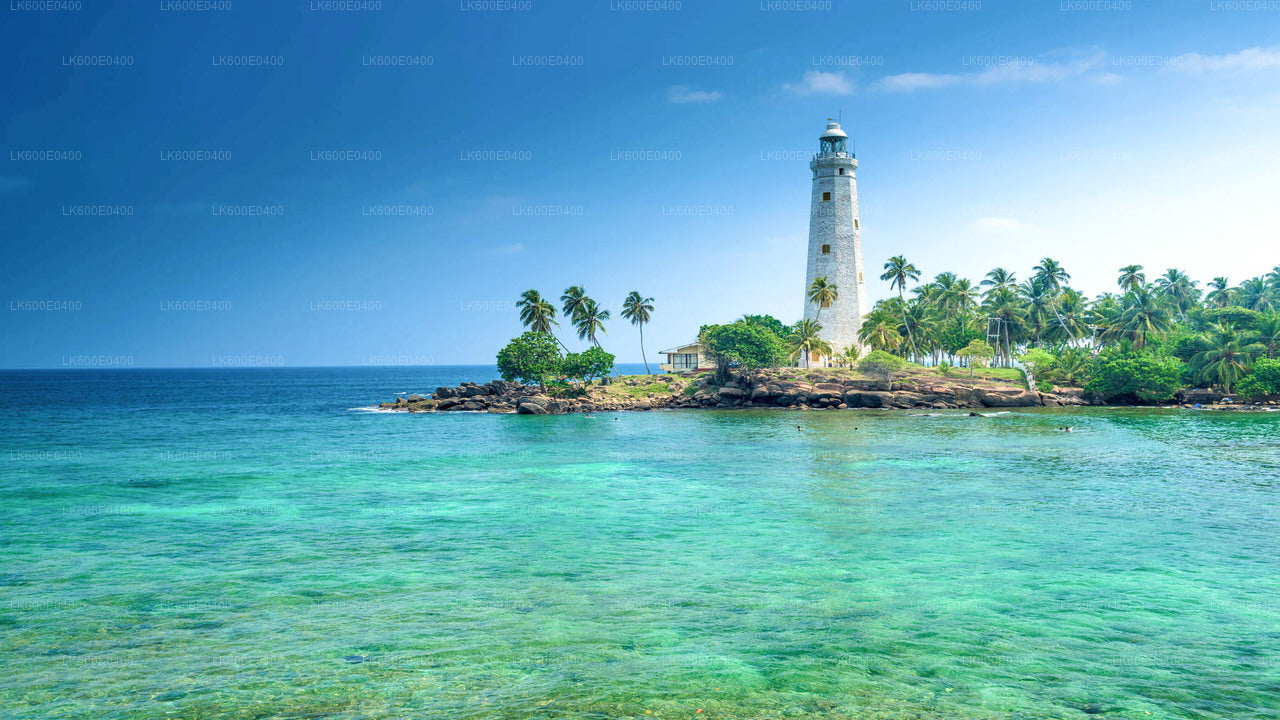 बेरुवाला से दक्षिणी तट की खास बातें