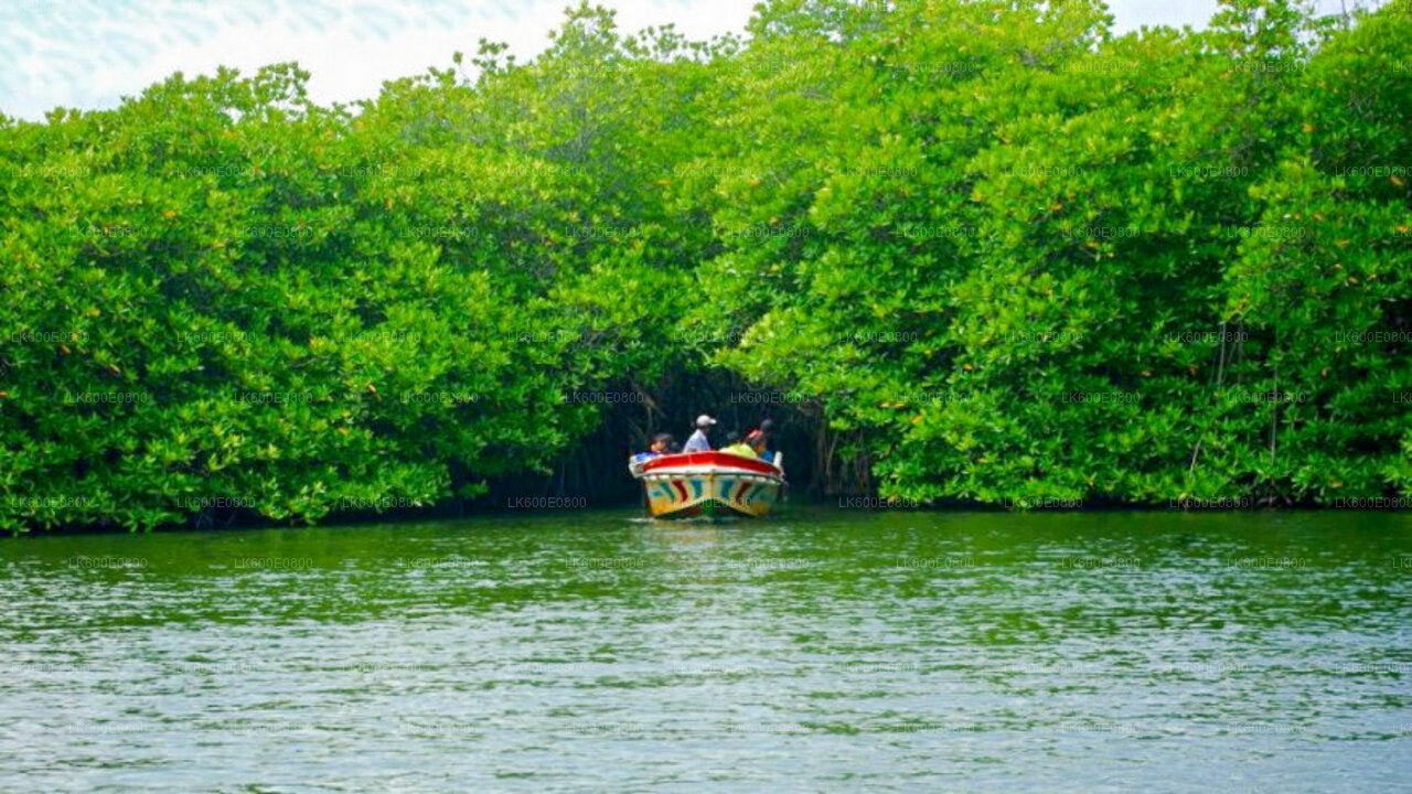 बेरुवाला से बेंटोटा सिटी टूर और गाले