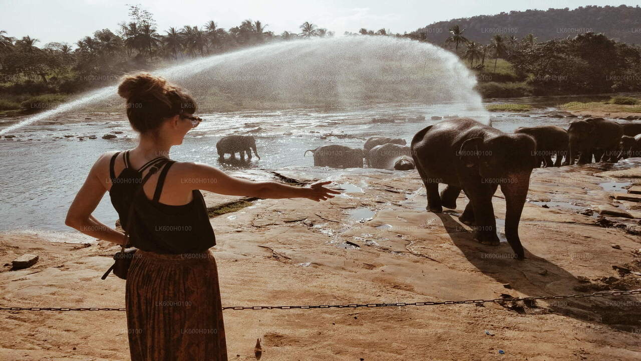 कोलंबो से कैंडी शहर का दौरा