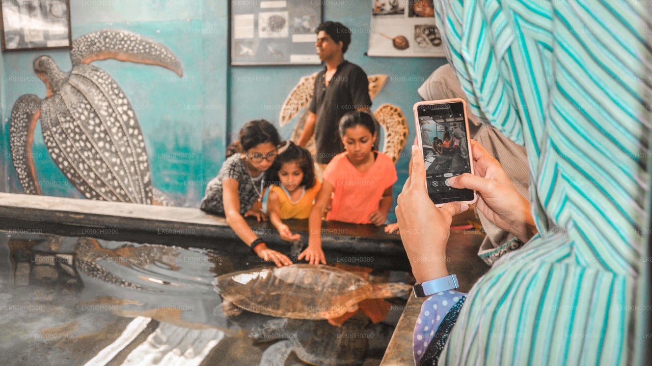 कोलंबो से गॉल तक तटीय यात्रा