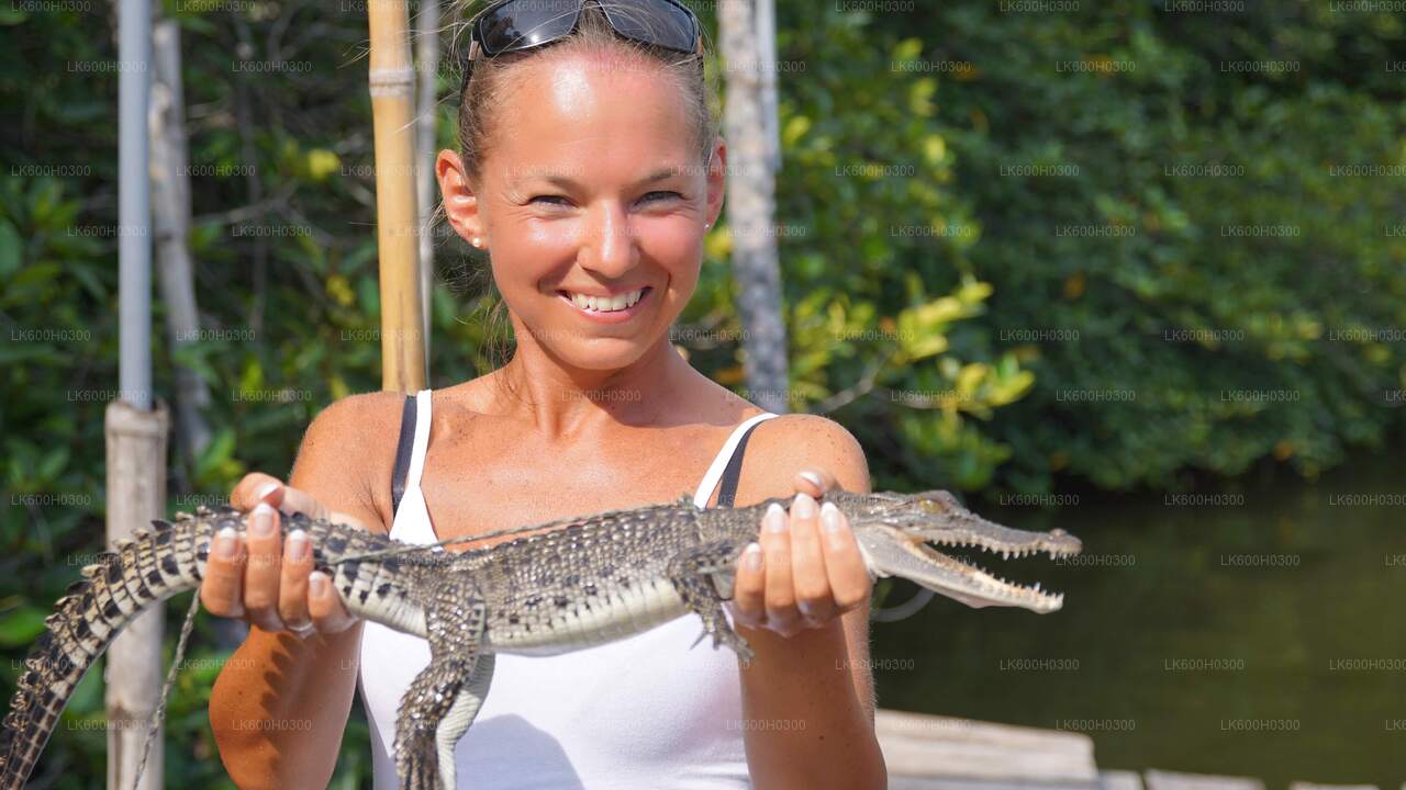 कोलंबो से गॉल तक तटीय यात्रा