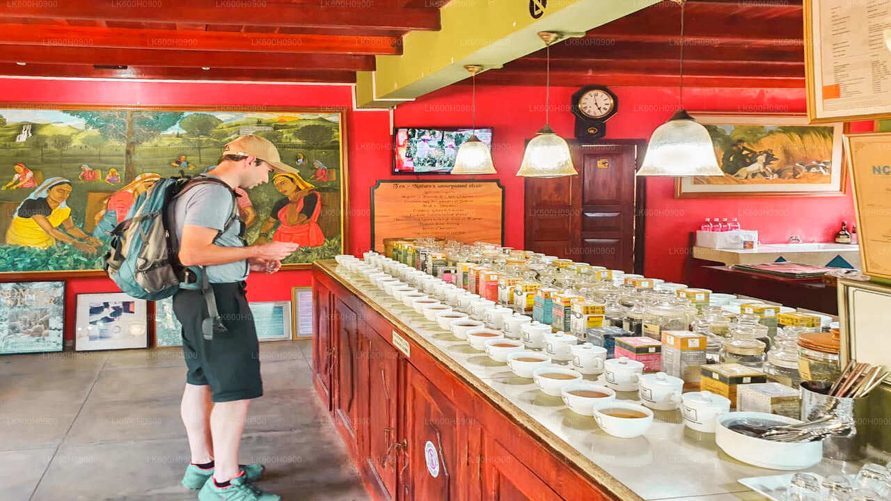 कोलंबो से दक्षिणी तट के मुख्य आकर्षण