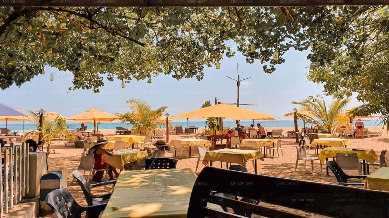 कोलंबो से दक्षिणी तट के मुख्य आकर्षण