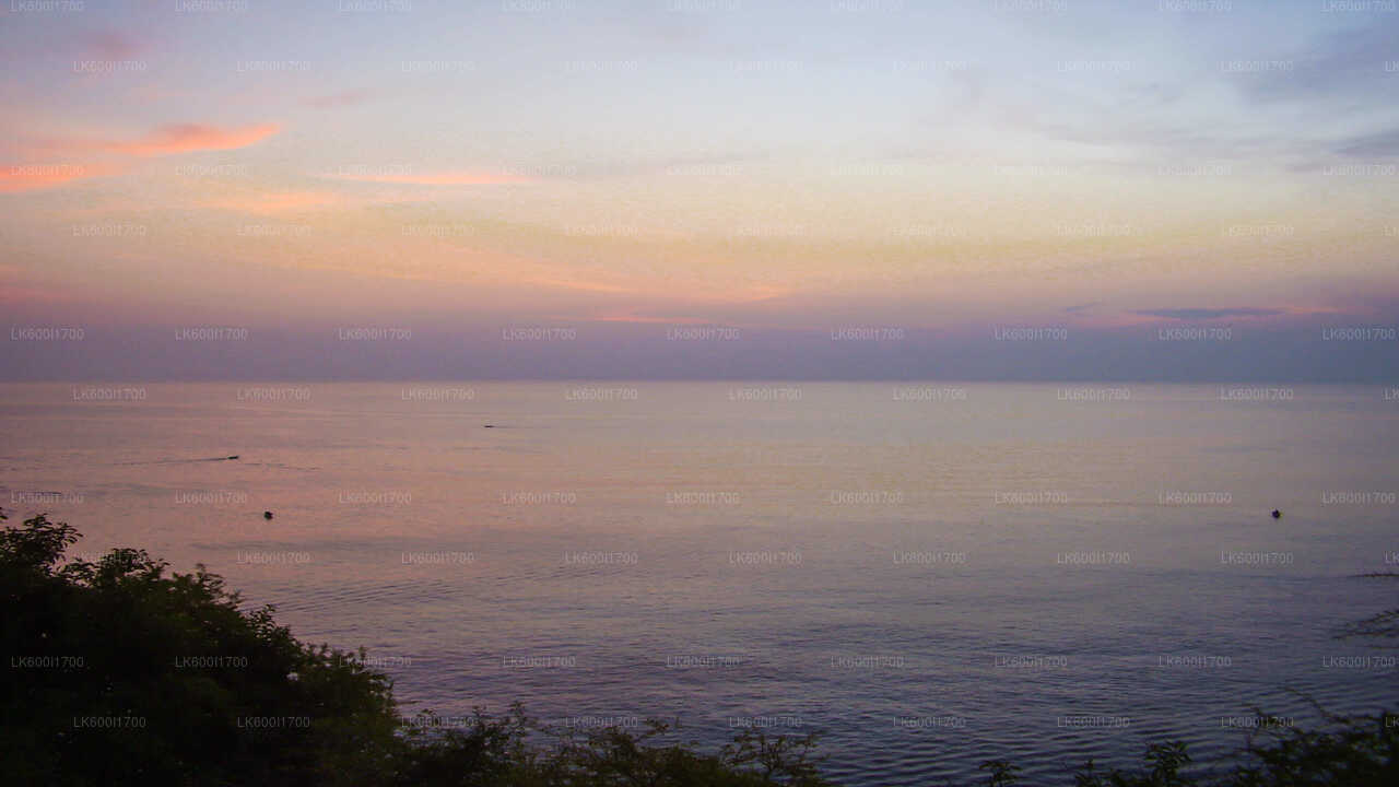 Trincomalee City Tour from Dambulla