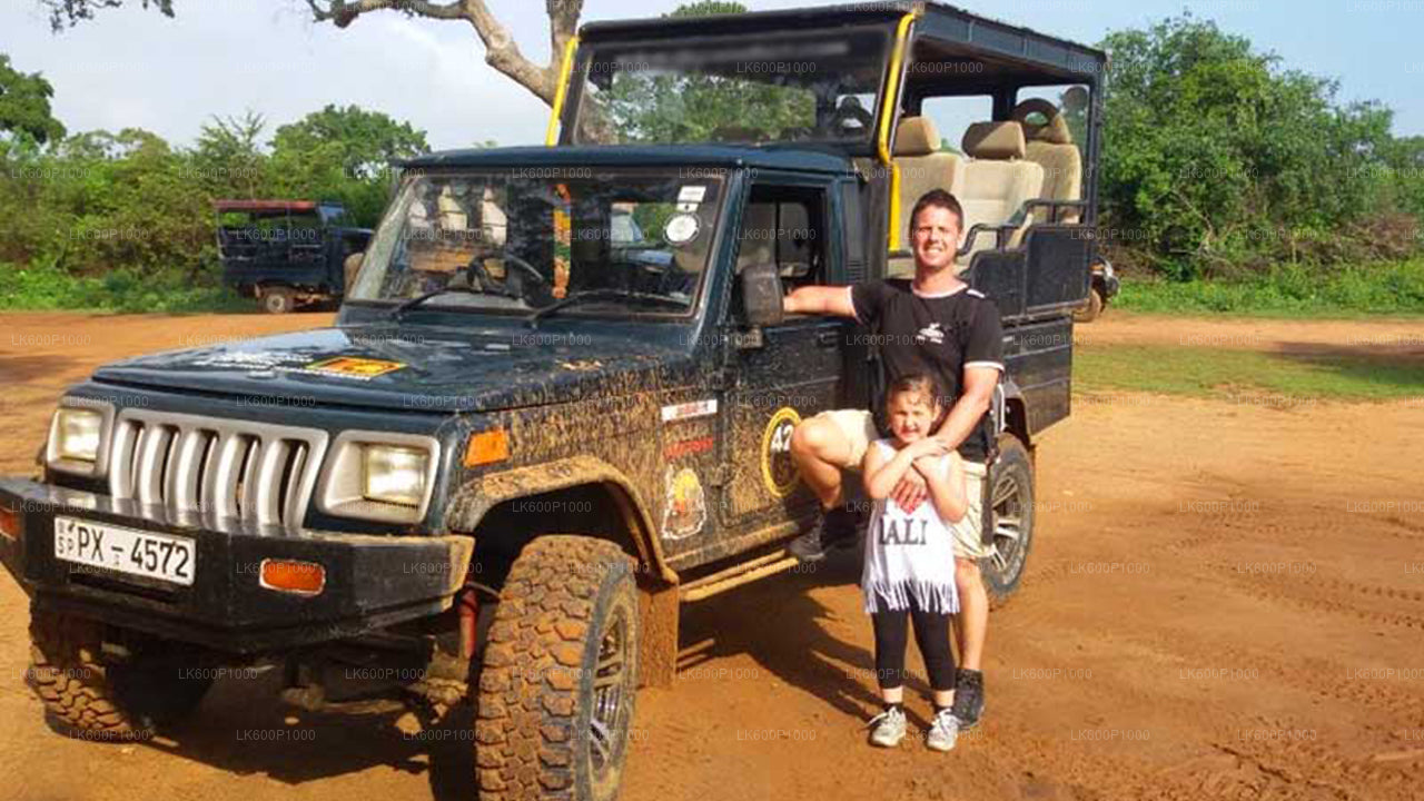 गाले से याला नेशनल पार्क सफारी