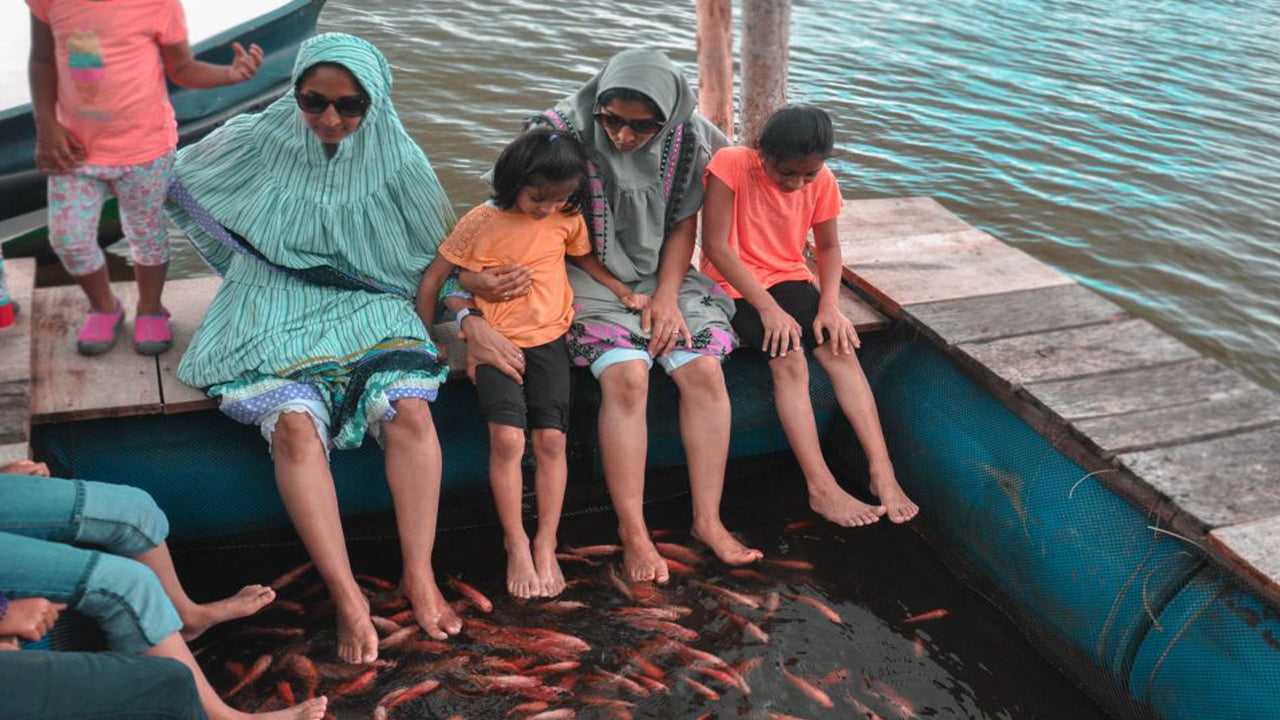 बेंटोटा से बालापिटिया, हंडुनुगोडा और गाले