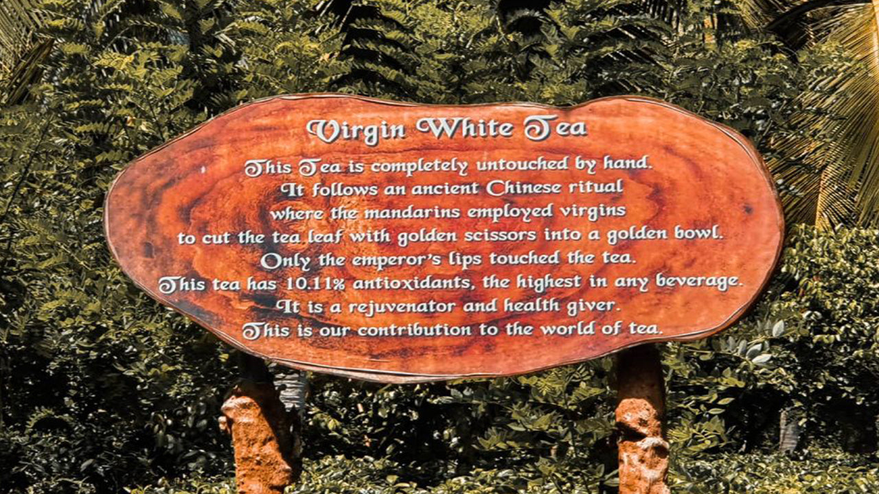 बेंटोटा से बालापिटिया, हंडुनुगोडा और गाले