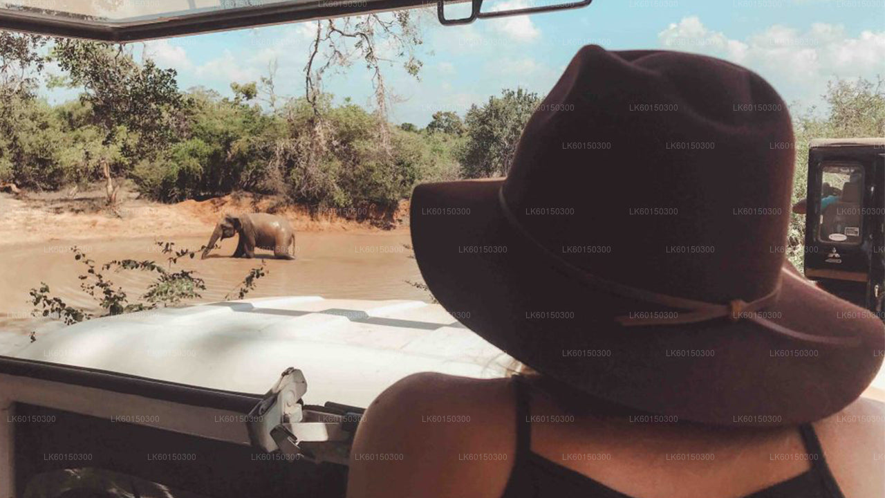 तांगाले से याला राष्ट्रीय उद्यान सफारी