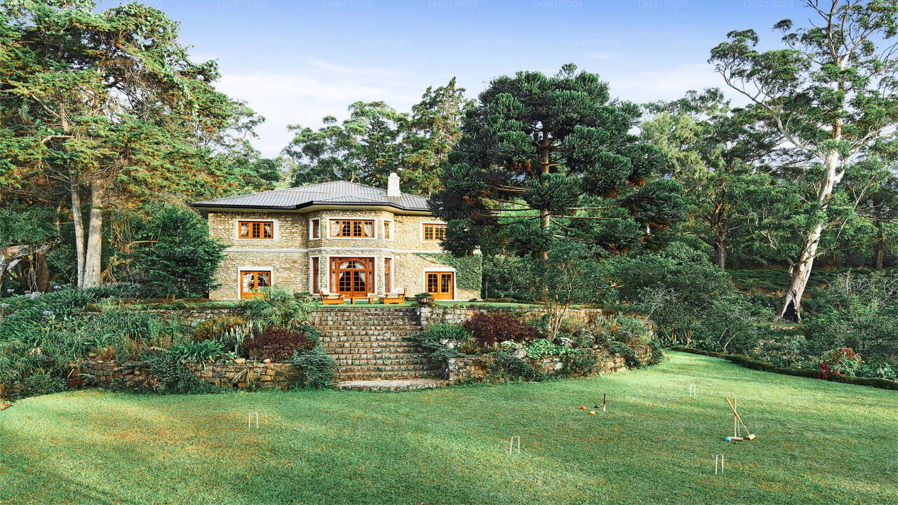 कैंडी से नुवारा एलिया हाइलैंड्स