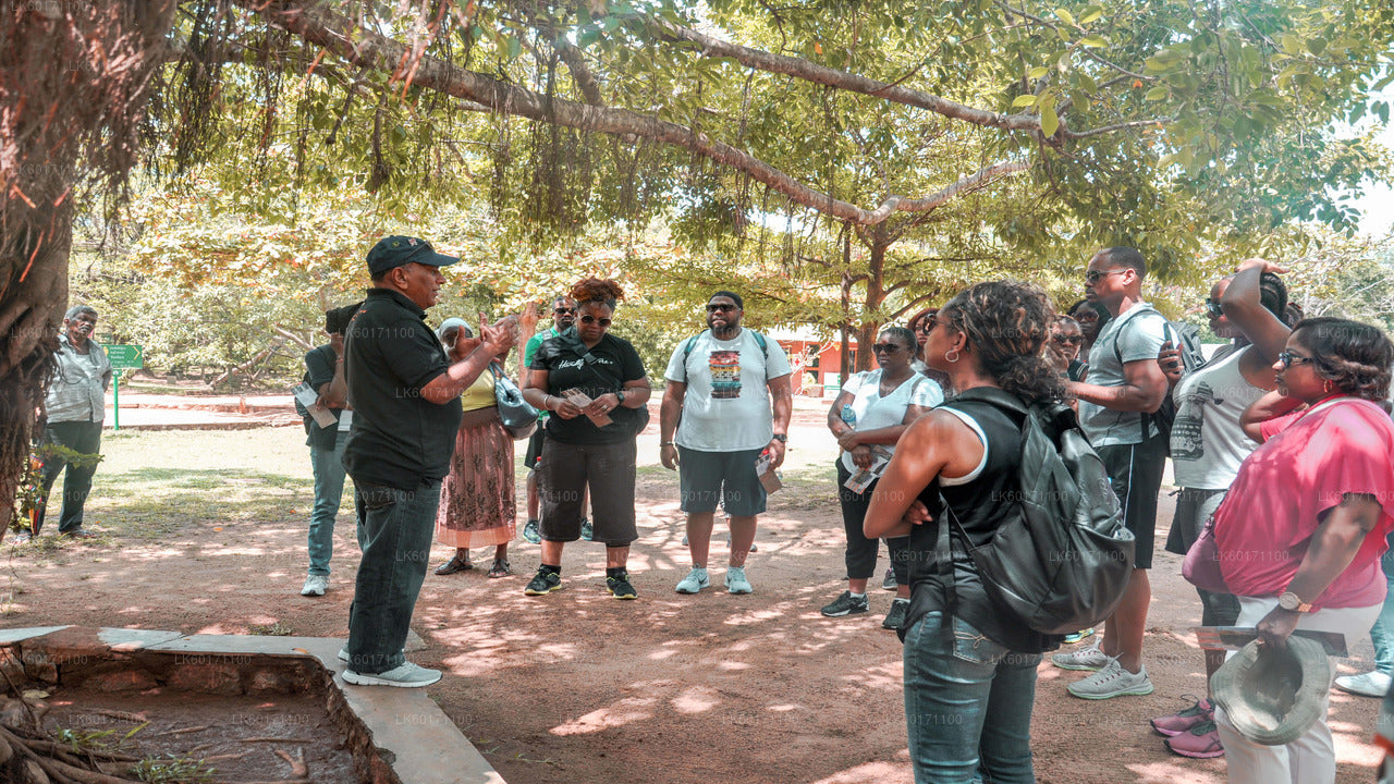 कैंडी से सिगिरिया और दांबुला