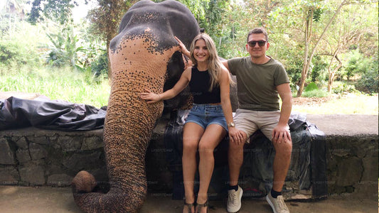 Millennium Elephant Foundation from Colombo