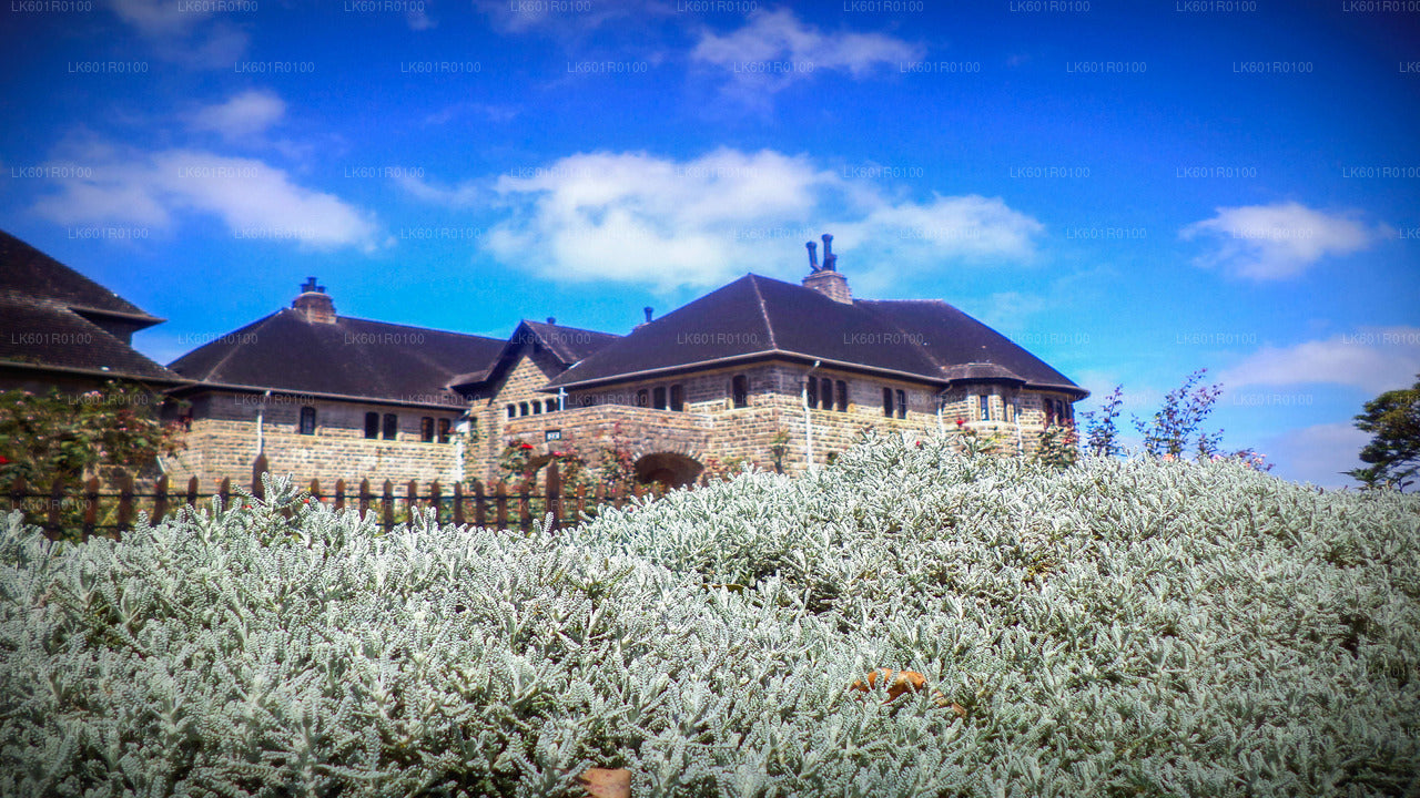 Haputale Highlands from Nuwara Eliya