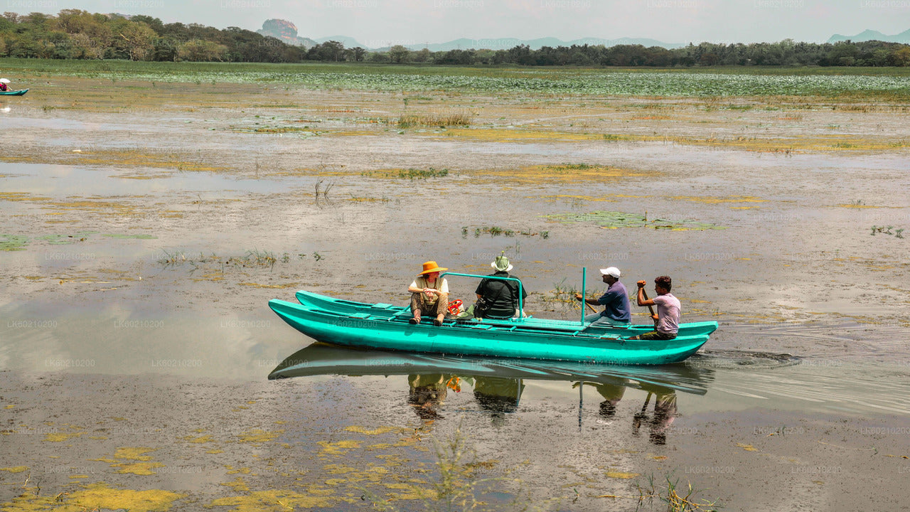 Sigiriya Rock and Wild Elephant Safari from Dambulla