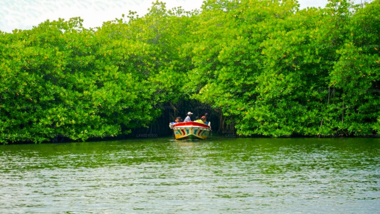 टंगले से बेंटोटा शहर का भ्रमण