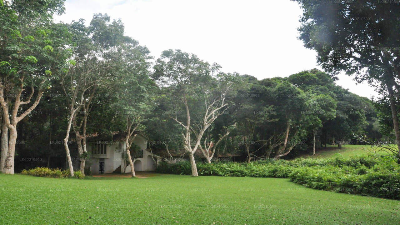 टंगले से बेंटोटा शहर का भ्रमण