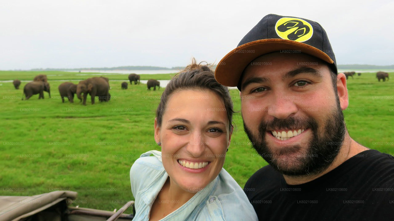 तांगले से बुंदाला राष्ट्रीय उद्यान सफारी