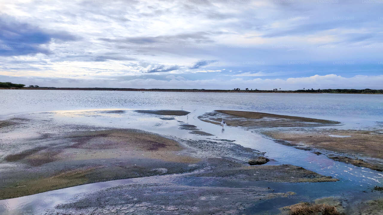 डिकवेला से बुंडाला नेशनल पार्क सफारी